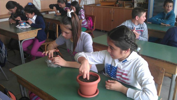 Учениците од основното училиште " Ванчо Китанов " денес засадија желади во саксии со што ја започнаа кампањата " Садница плус ", што се спроведува во рамките на акцијата " Ден на дрвото, засади ја својата иднина! " во соработка со Министерството за образование и наука.
