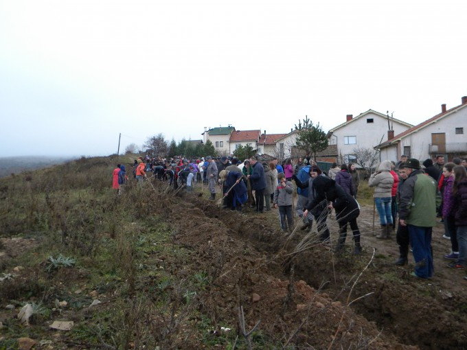 Пехчево и годинава се приклучува кон акцијата Ден на дрвото- засади ја својата иднина. Првите неколку дрвца беа засадени пред два дена и тоа на повече локации низ општината. 