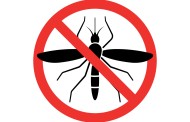 Прскање против комарци