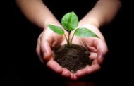 Известување за есенската акција ,, Ден на дрвото - засади ја својата иднина “